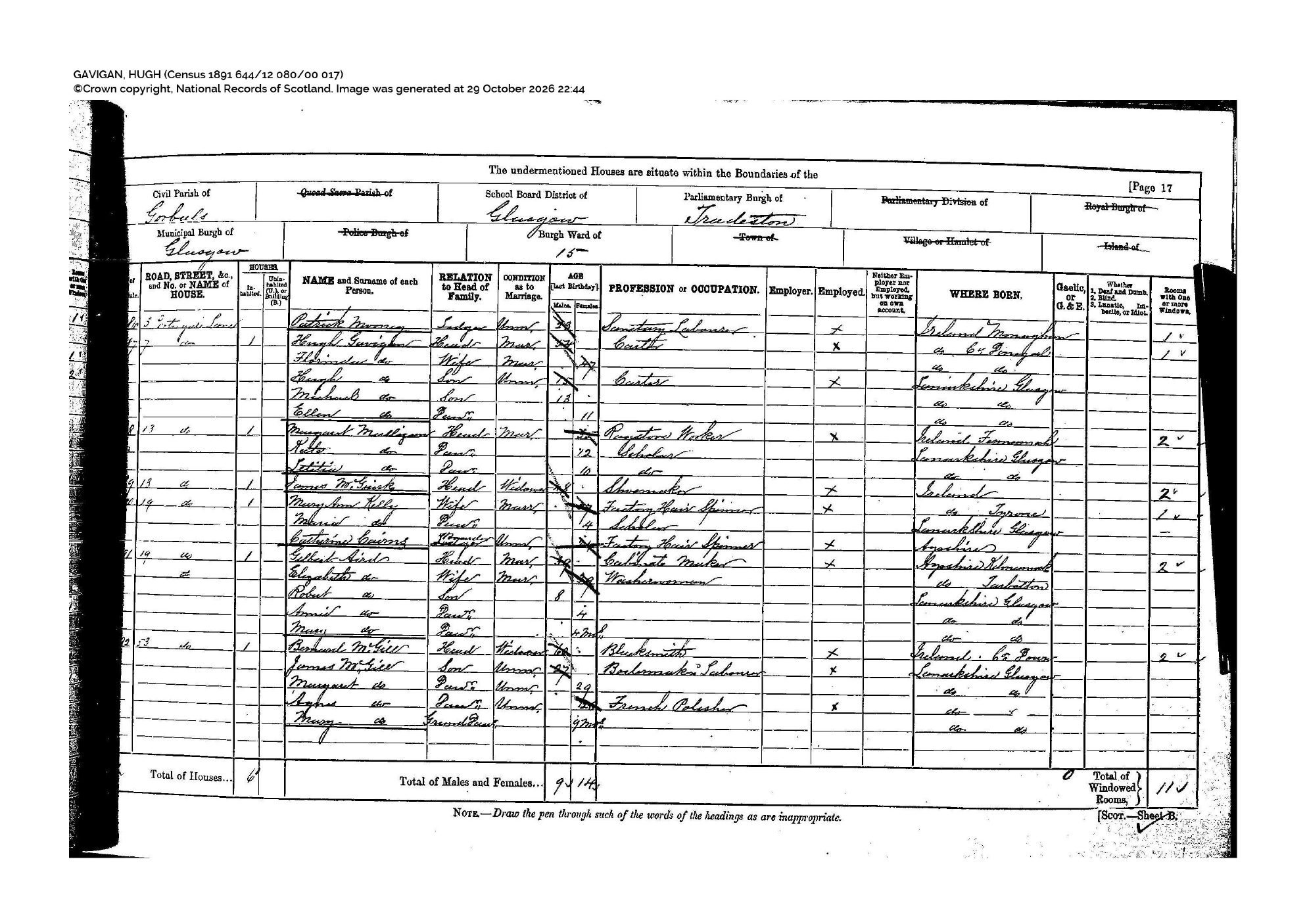 Census, 1891 โ ScotlandsPeople_C1891_644_12_080_000_2_017Z.pdf