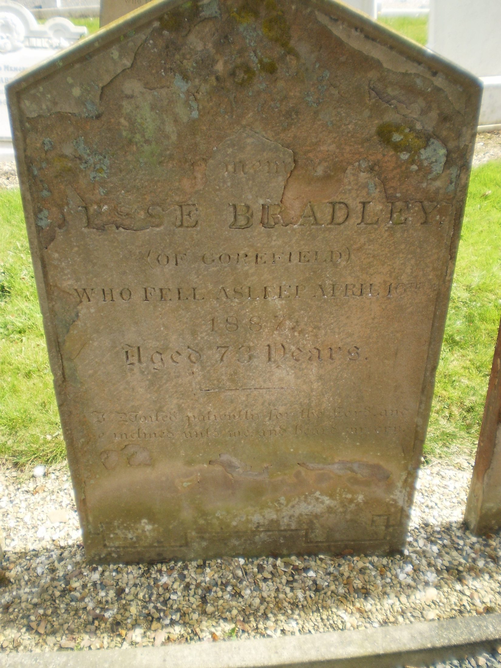 Gravestone, Jesse Bradley โ Jesse_Bradley.jpeg